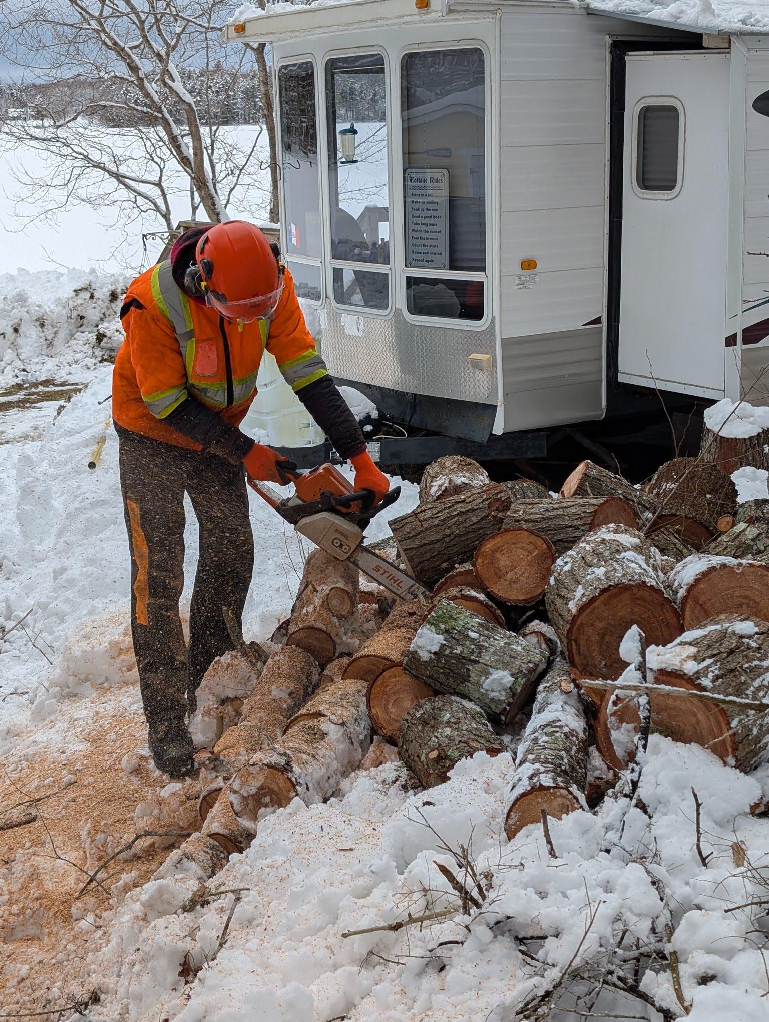 Tree removal operation